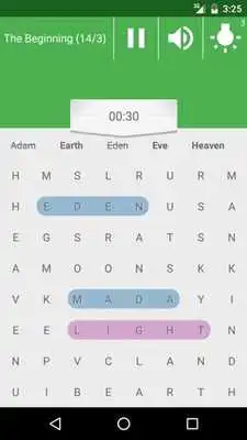 Play Bible Word Search