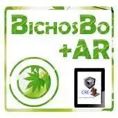 Free play online BichosBo APK