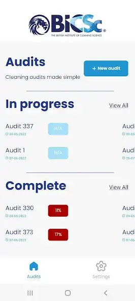 Play BICSc Audit as an online game BICSc Audit with UptoPlay
