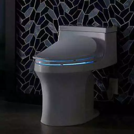 Play Bidet Toilet APK Play Bidet Toilet APK