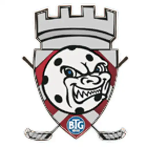 Play Bielefelder Floorball Cup APK