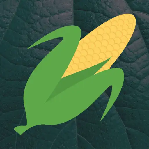 Play Bienestar - Maíz APK