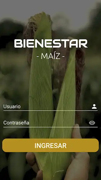 Play Bienestar - Maíz as an online game Bienestar - Maíz with UptoPlay