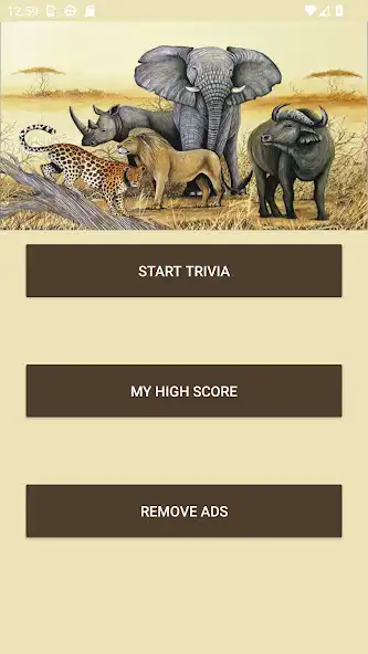 Play Big 5 Trivia as an online game Big 5 Trivia with UptoPlay