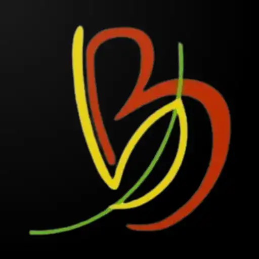 Play Big Bag: Online Grocery APK Play Big Bag: Online Grocery APK