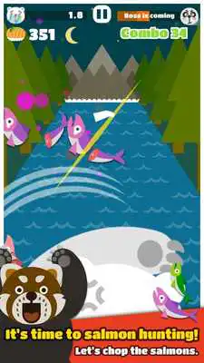 Play Big bear Play Big bear