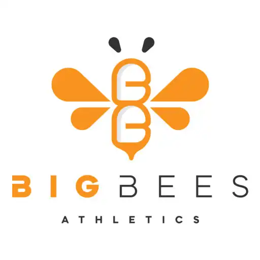 Play Big Bees Athletics APK