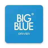 Free play online BIG BLUE PARTNER APK Free play online BIG BLUE PARTNER APK