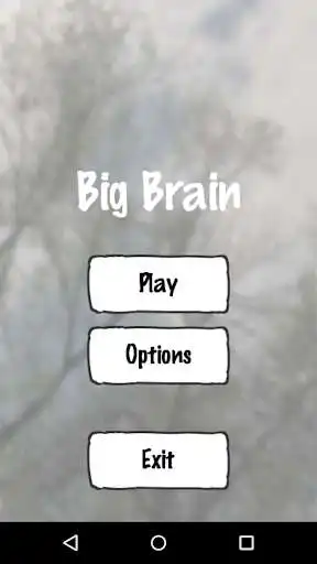 Play Big Brain