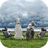 Free play online Big Camera - Giant Photo Editor APK