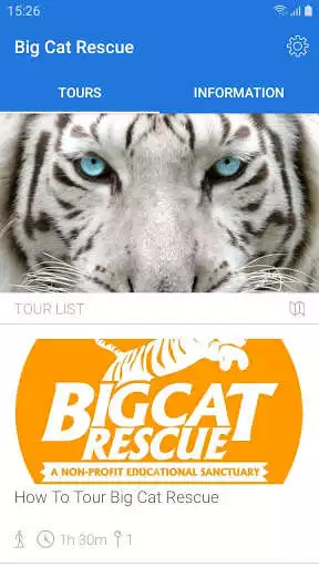 Play Big Cat Rescue