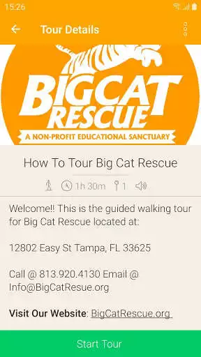 Play Big Cat Rescue