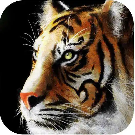 Free play online Big Cats Live Wallpapers  APK