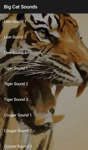 Play Big Cat Sounds