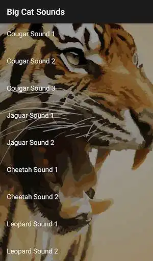 Play Big Cat Sounds