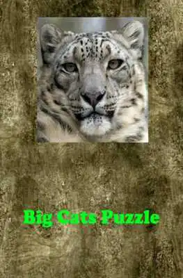 Play Big Cats Puzzle