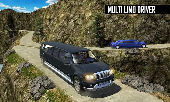 Play Big City Limo Car Driving