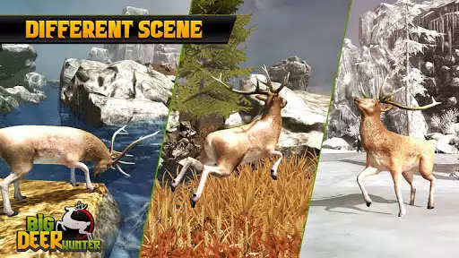 Play Big Deer Hunter  and enjoy Big Deer Hunter with UptoPlay