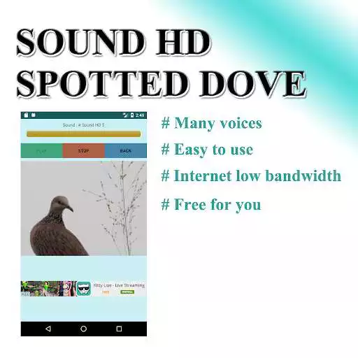 Play APK Big dove sounds to birds.  and enjoy Big dove sounds to birds. with UptoPlay com.adsmom.spotteddove
