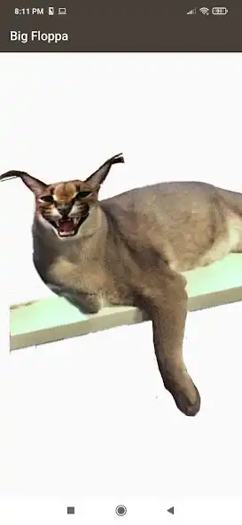 Play Big Floppa  and enjoy Big Floppa with UptoPlay