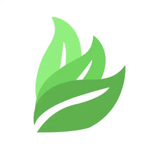 Play Big Grocery APK