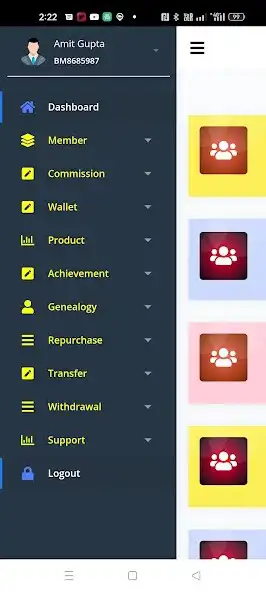 Play BIGM USER PANEL as an online game BIGM USER PANEL with UptoPlay