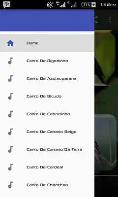 Play BIGODHINO