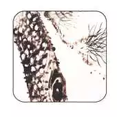 Free play online big pinetree inkwash wallpaper APK Free play online big pinetree inkwash wallpaper APK