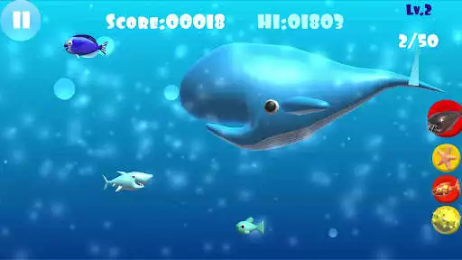 Play Big Shark