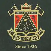 Free play online Big Spring APK