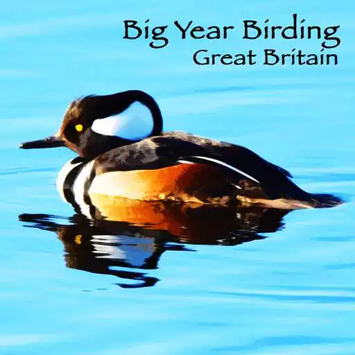 Play Big Year Birding GB APK Play Big Year Birding GB APK