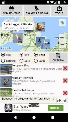 Play Big Year Birding GB  and enjoy Big Year Birding GB with UptoPlay
