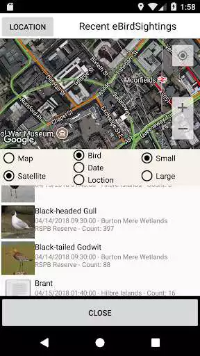 Play Big Year Birding GB as an online game Big Year Birding GB with UptoPlay