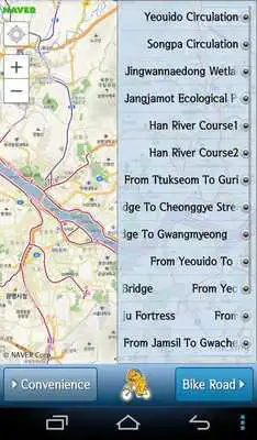 Play Biking In Seoul