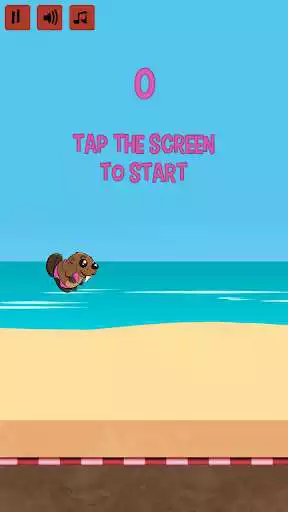 Play BikiniBird as an online game BikiniBird with UptoPlay