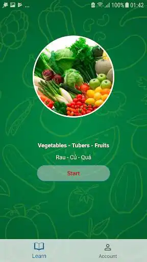 Play Biletlingo as an online game Biletlingo with UptoPlay
