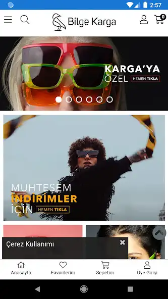 Play Bilge Karga  and enjoy Bilge Karga with UptoPlay
