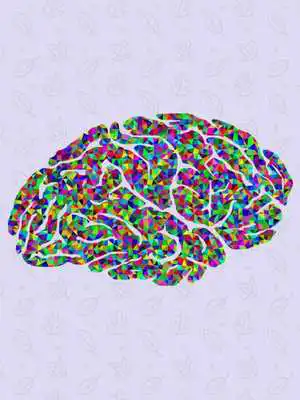 Play Binaural  Alpha Waves Study and Meditate