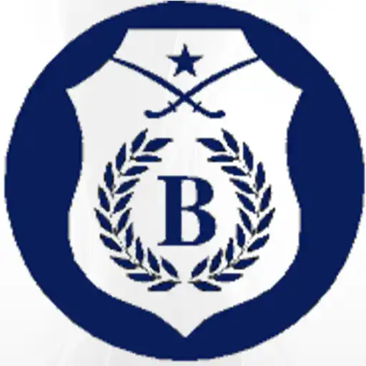 Play Binbaşıoğlu APK