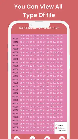 Play Bin File Viewer as an online game online Bin File Viewer with UptoPlay Play Bin File Viewer as an online game Bin File Viewer with UptoPlay
