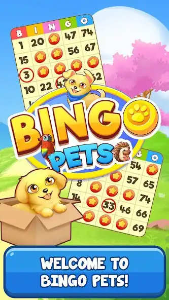 Play Bingo:  Free the Pets  and enjoy Bingo:  Free the Pets with UptoPlay