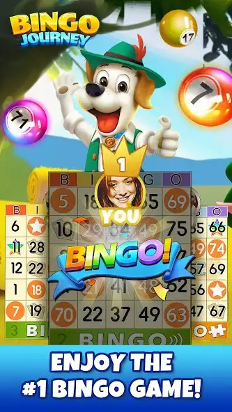 Play Bingo Journey - Lucky Casino  and enjoy Bingo Journey - Lucky Casino with UptoPlay