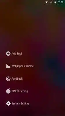 Play Bingo Launcher-Beautiful,Small
