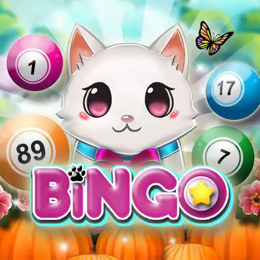 Free play online Bingo Pets Mania: Cat Craze  APK