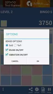 Play Bingo Puzzle
