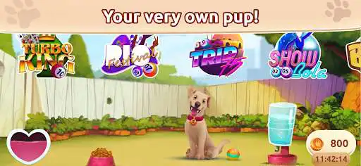 Play Bingo Rex  and enjoy Bingo Rex with UptoPlay