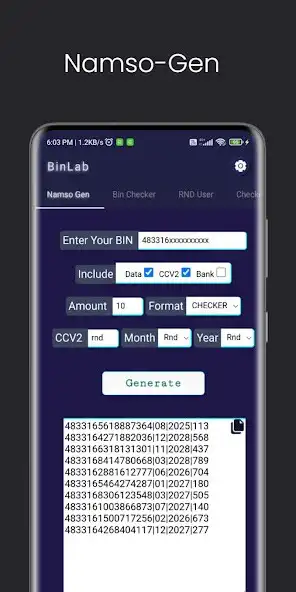 Play BinLab - Namso-Gen, CC checker as an online game BinLab - Namso-Gen, CC checker with UptoPlay
