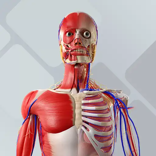 Play BioAtlas - Anatomia Humana 3D APK