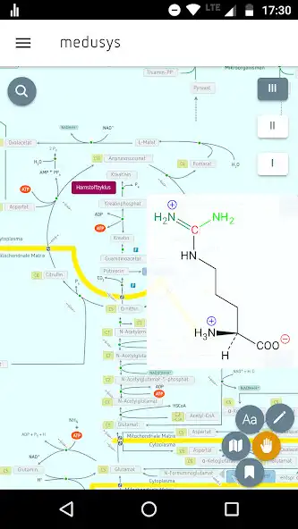Play Biochemistry, interactive map  and enjoy Biochemistry, interactive map with UptoPlay