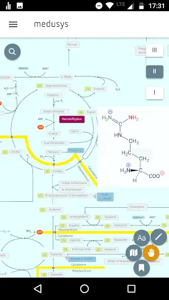 Play Biochemistry, interactive map as an online game Biochemistry, interactive map with UptoPlay